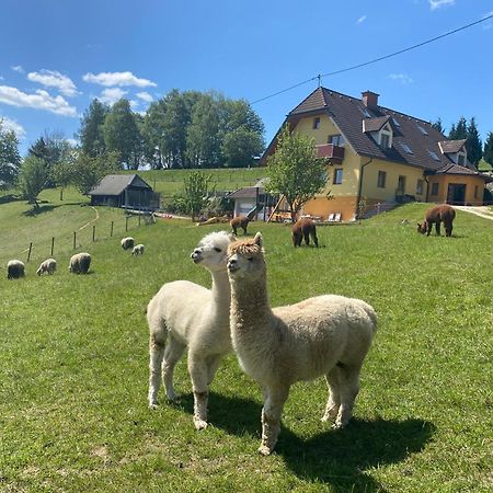 Biohof Kroisleitner Sankt Jakob im Walde Buitenkant foto