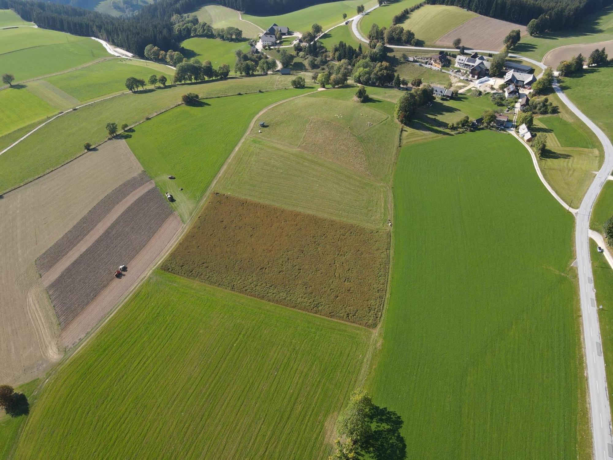 Biohof Kroisleitner Sankt Jakob im Walde Buitenkant foto