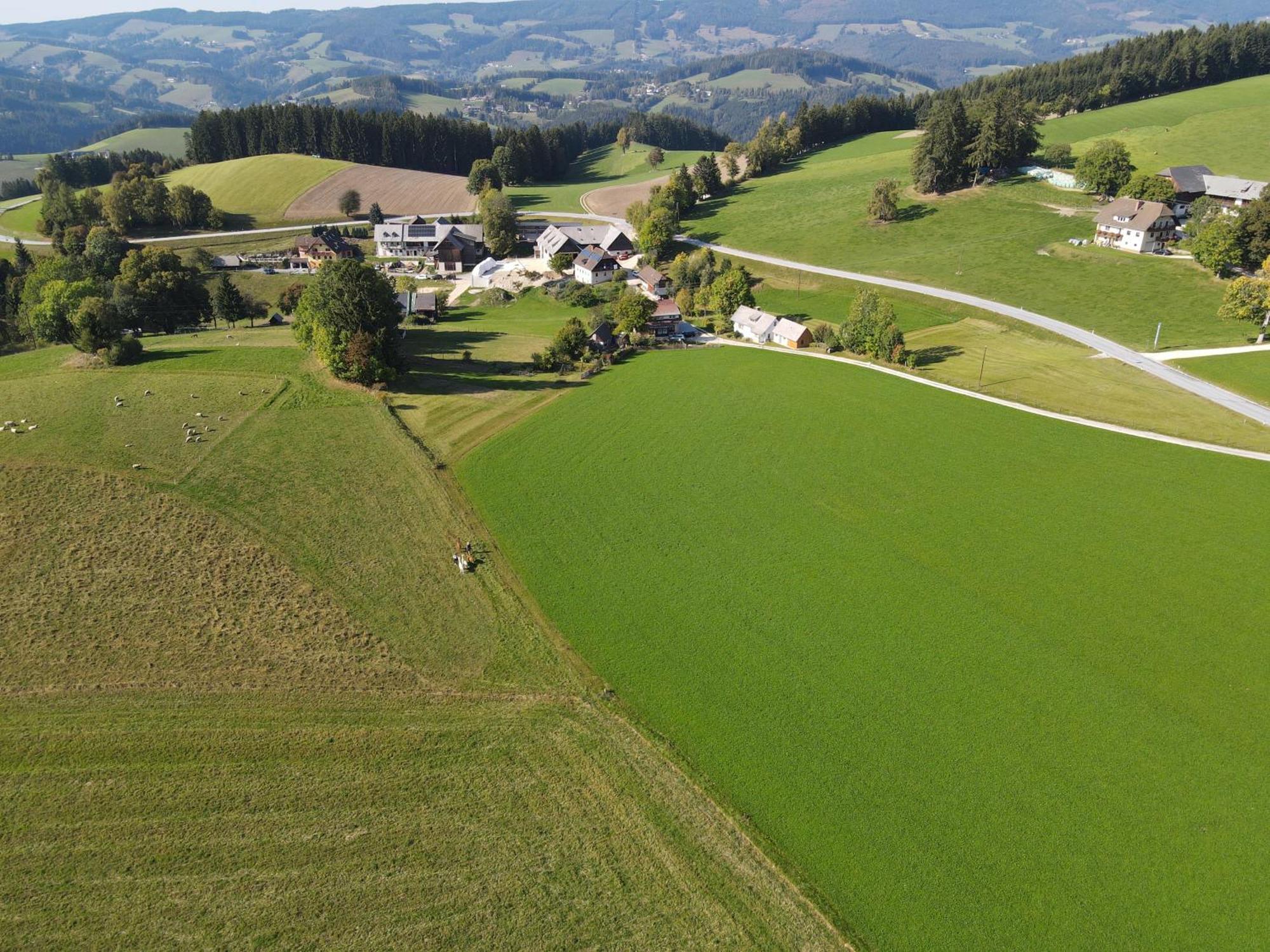 Biohof Kroisleitner Sankt Jakob im Walde Buitenkant foto