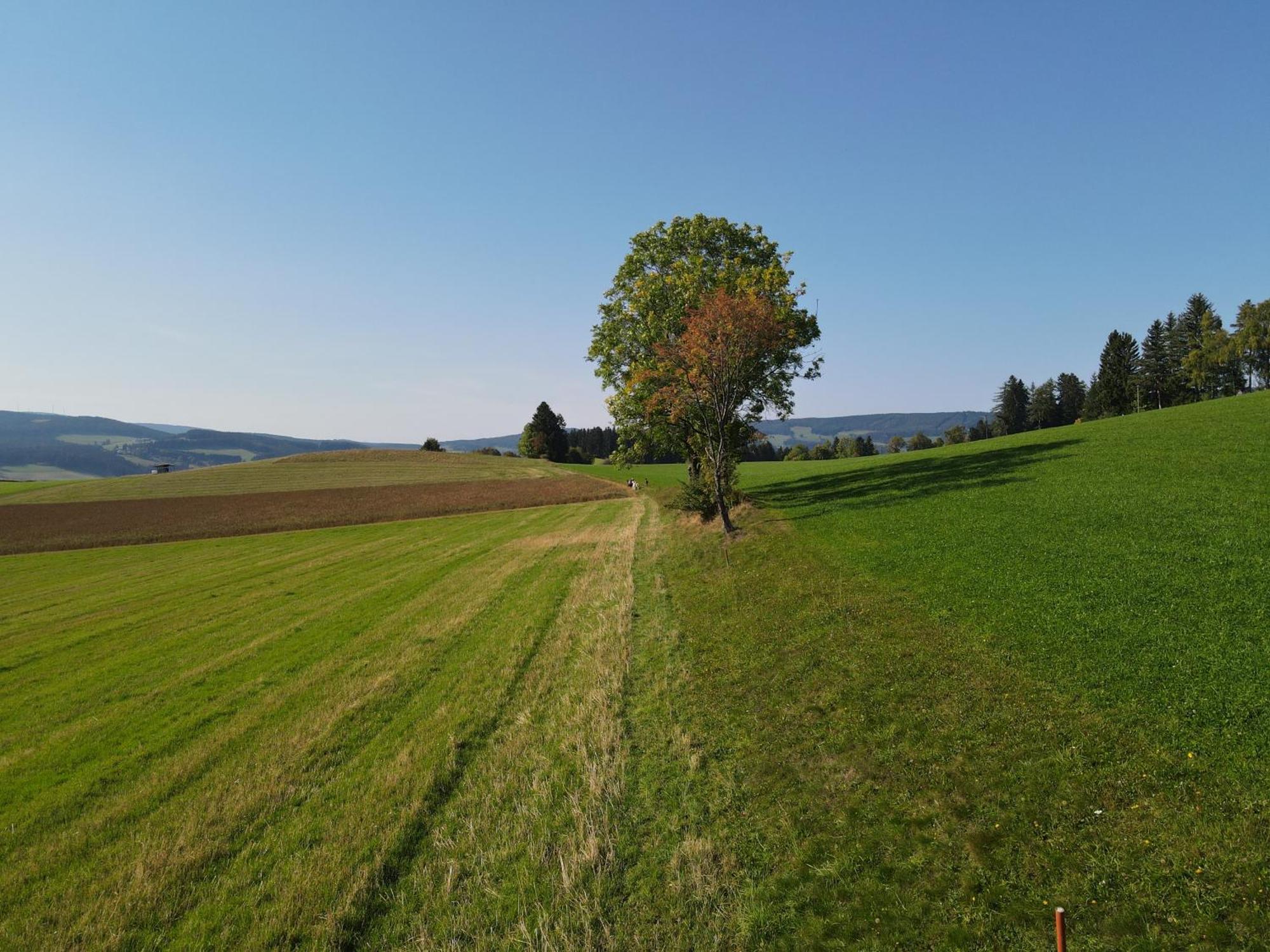 Biohof Kroisleitner Sankt Jakob im Walde Buitenkant foto