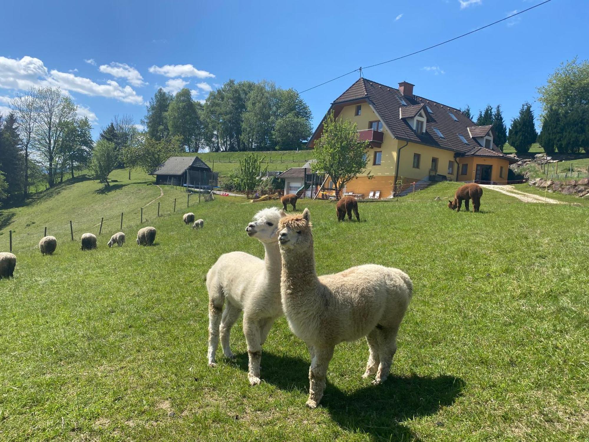 Biohof Kroisleitner Sankt Jakob im Walde Buitenkant foto